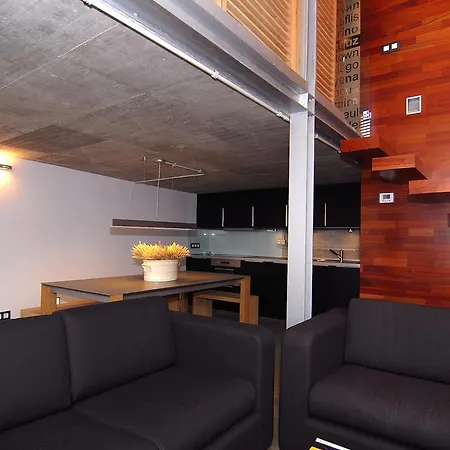 Loft Rural Cirueches 19 *